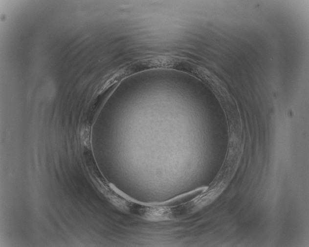 X0000085040096200703121445