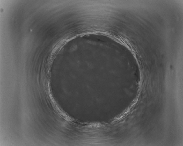 X0000085040097200703121444