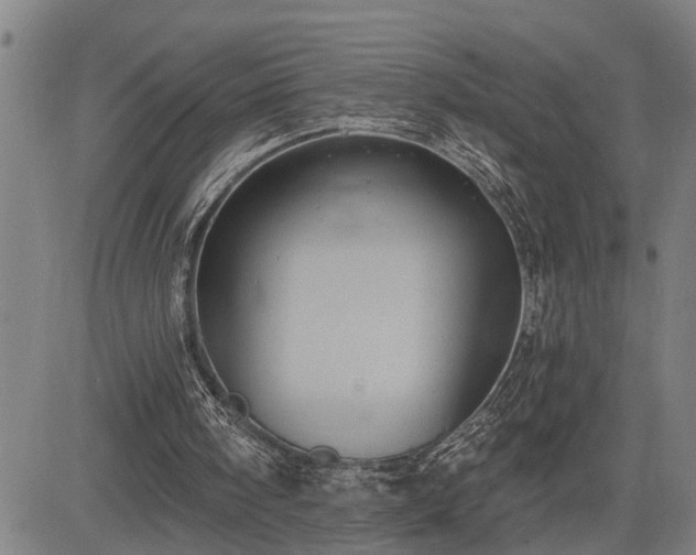 X0000085040098200703121444