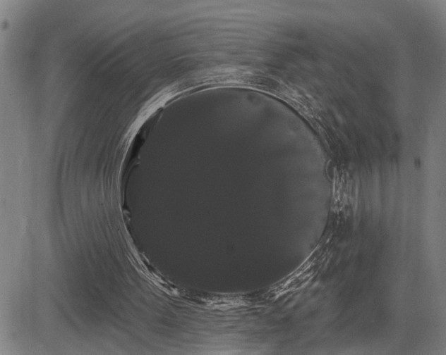 X0000085040099200703121444