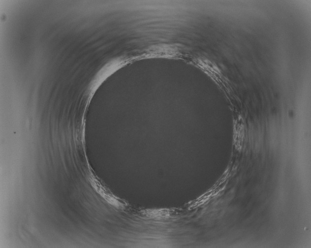 X0000085040100200703121444