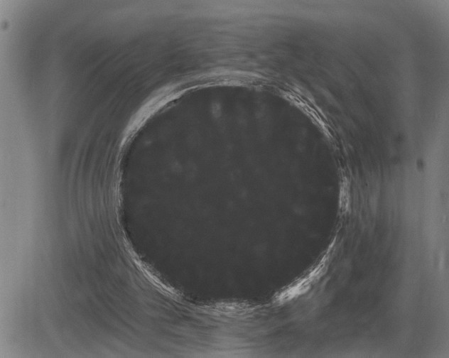 X0000085040101200703121444