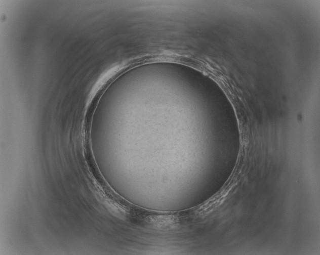 X0000085040102200703121444