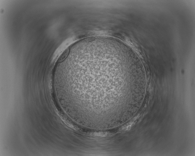 X0000085040103200703121444