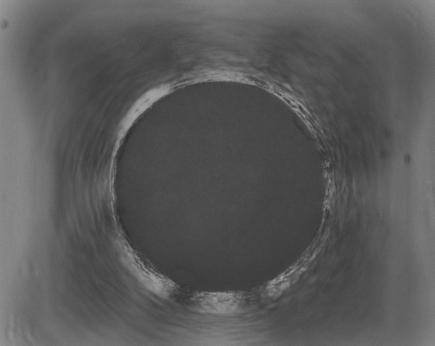 X0000085040104200703121444