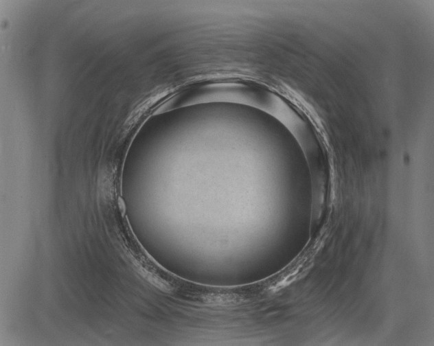 X0000085040105200703121444