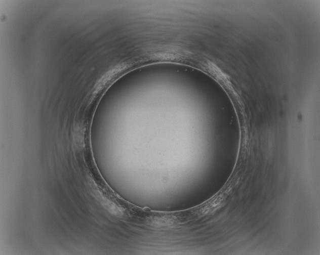 X0000085040106200703121444