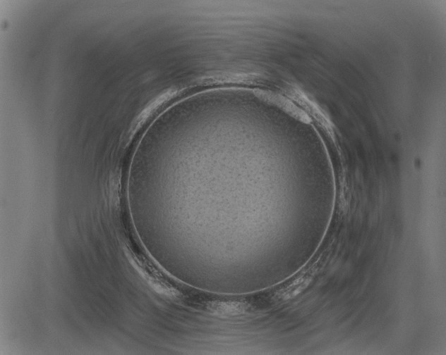 X0000085040107200703121444