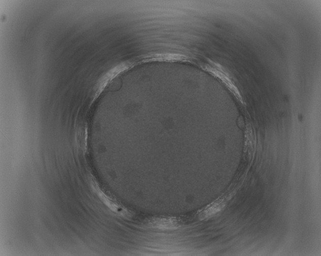 X0000085040110200703121443