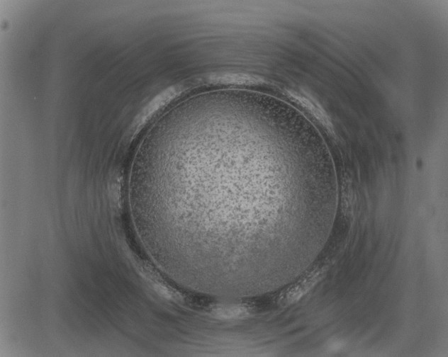 X0000085040111200703121443