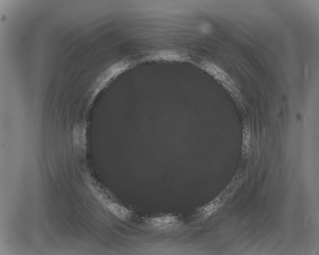 X0000085040112200703121443