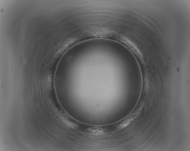 X0000085040113200703121443