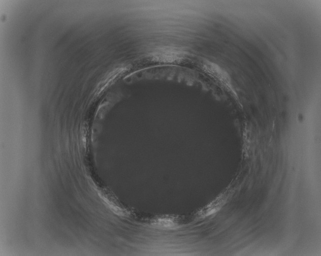 X0000085040114200703121443