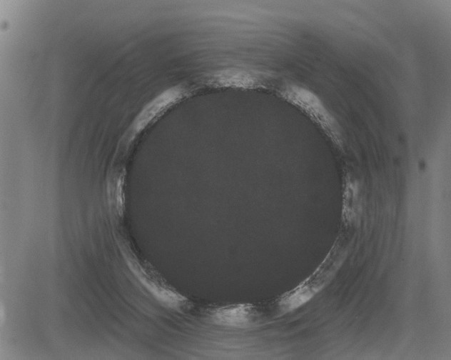 X0000085040116200703121443