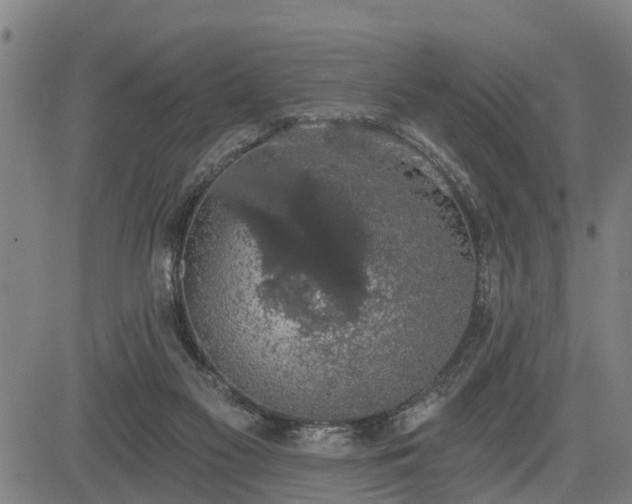 X0000085040117200703121443