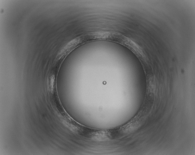 X0000085040118200703121443