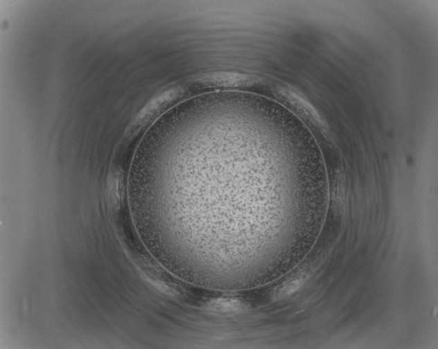 X0000085040119200703121443