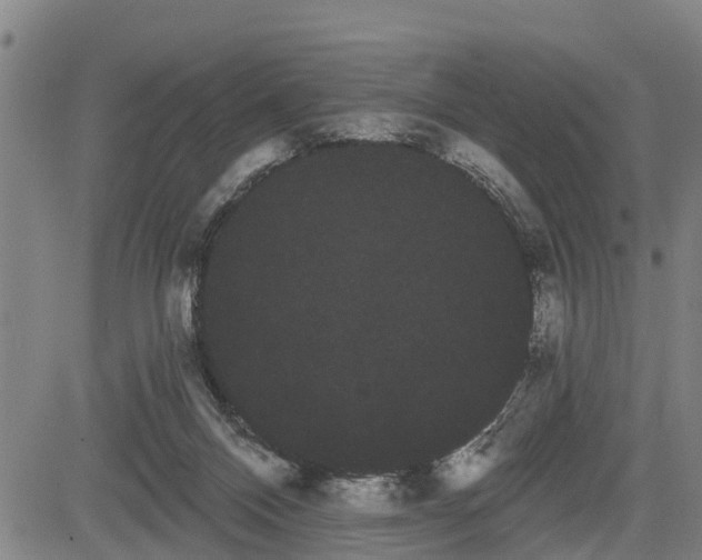 X0000085040120200703121443