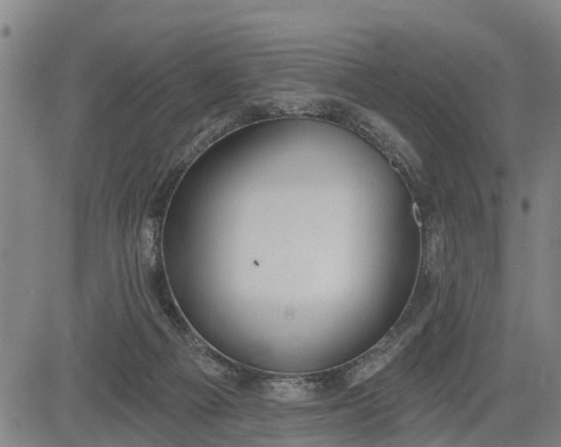 X0000085040121200703121443