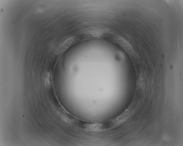 X0000085040122200703121443