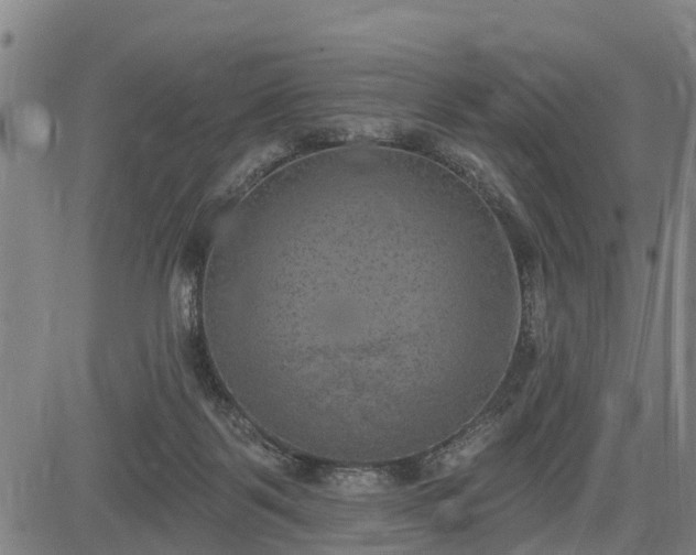 X0000085040123200703121443