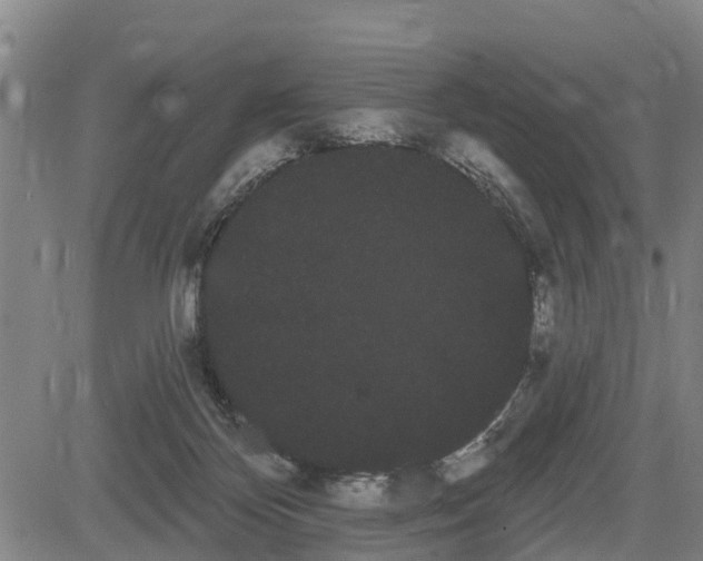 X0000085040124200703121443