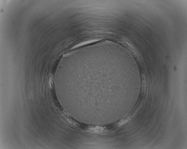 X0000085040125200703121443