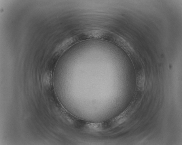 X0000085040126200703121443