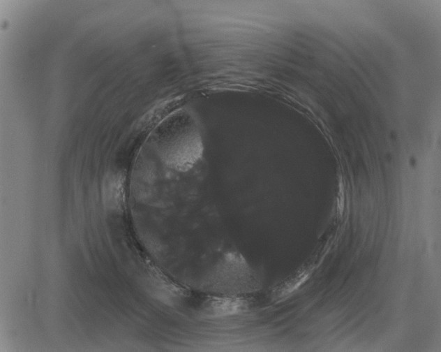 X0000085040127200703121443