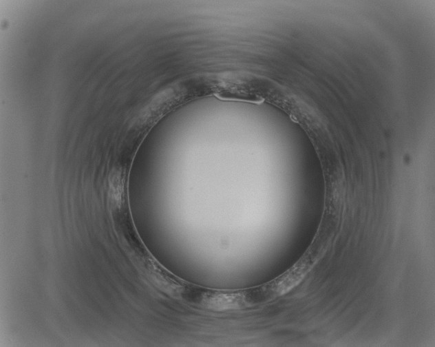 X0000085040129200703121443