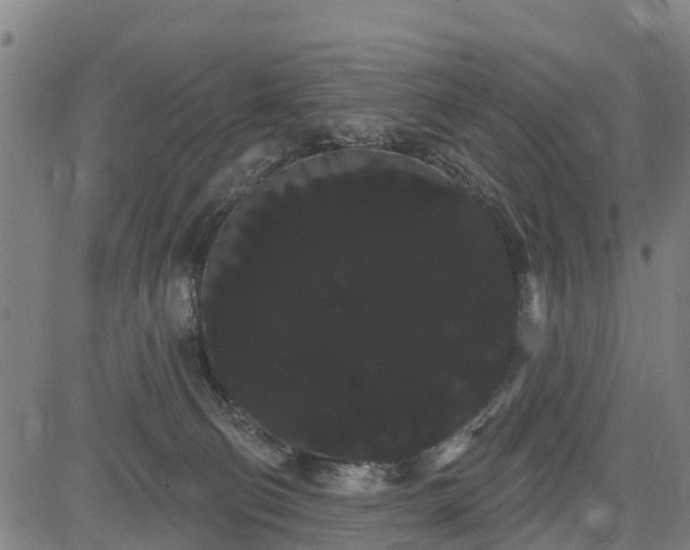 X0000085040130200703121443