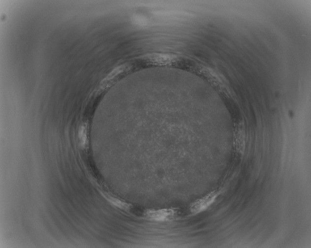 X0000085040131200703121443