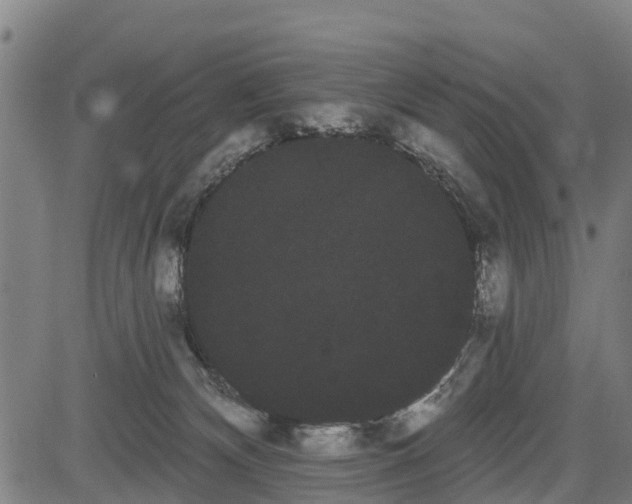 X0000085040132200703121443