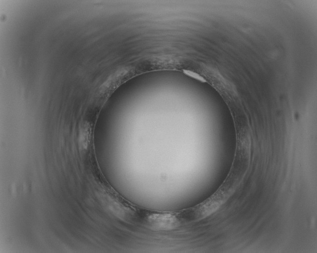 X0000085040133200703121443