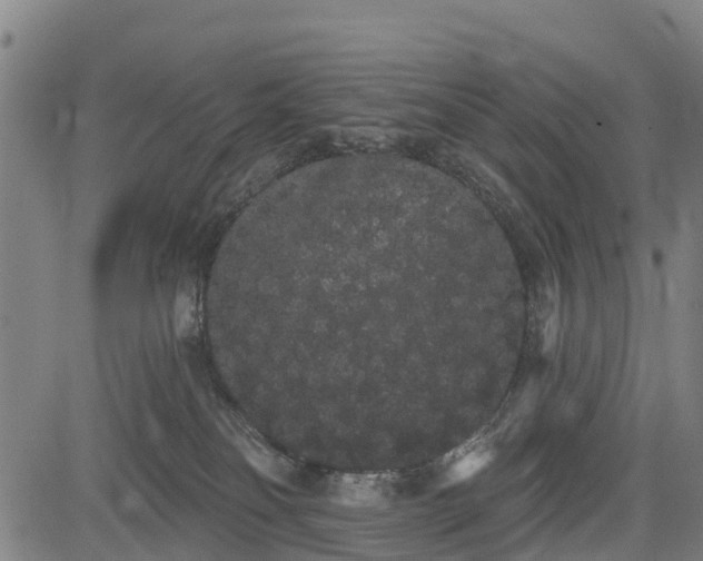 X0000085040134200703121443