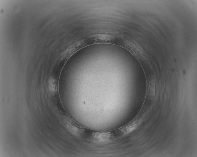 X0000085040135200703121443