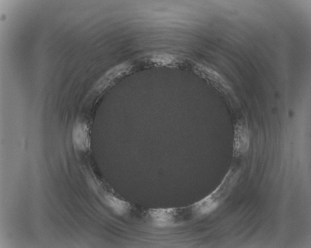 X0000085040136200703121443