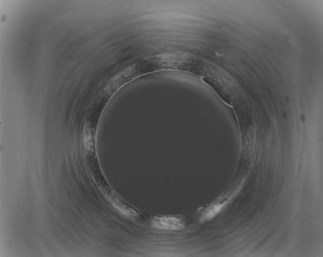 X0000085040137200703121443