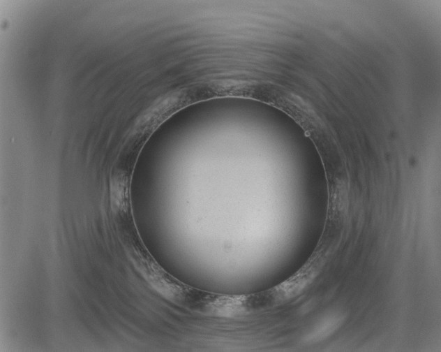 X0000085040138200703121443