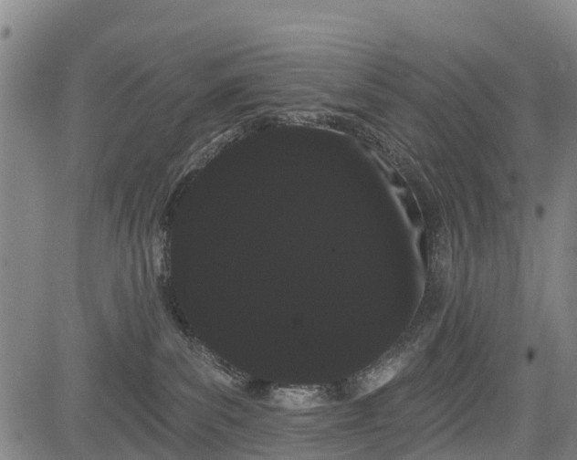 X0000085040139200703121443