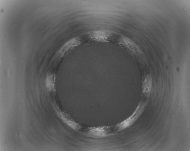 X0000085040140200703121443