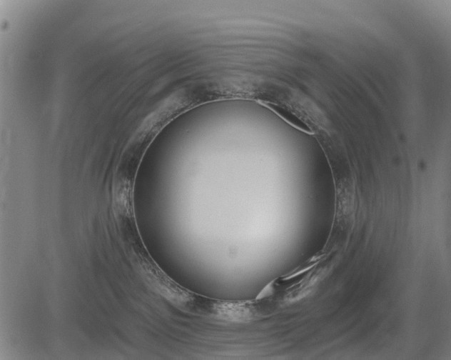 X0000085040141200703121443