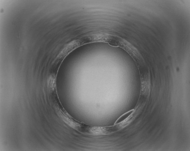 X0000085040142200703121443