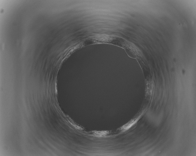 X0000085040143200703121443