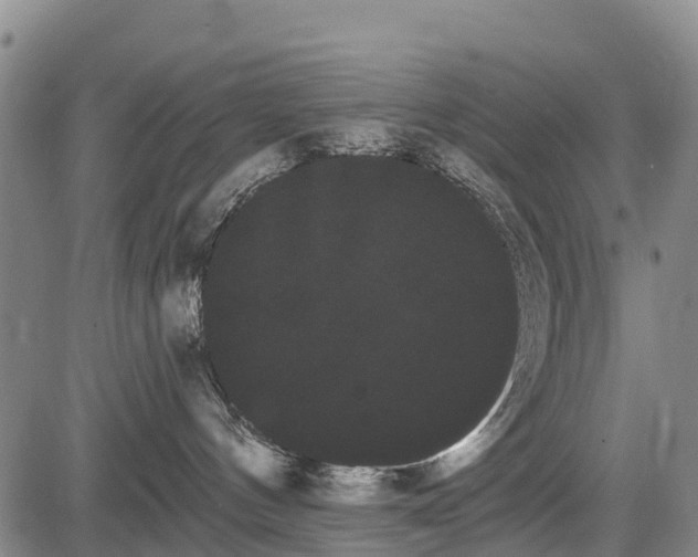 X0000085040144200703121443