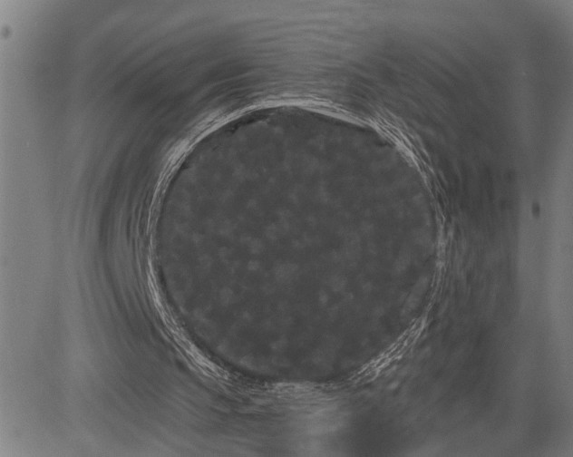 X0000085040145200703121442