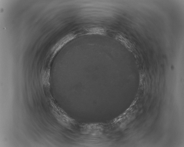 X0000085040146200703121442