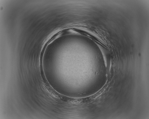 X0000085040148200703121442