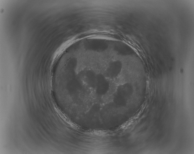 X0000085040149200703121442