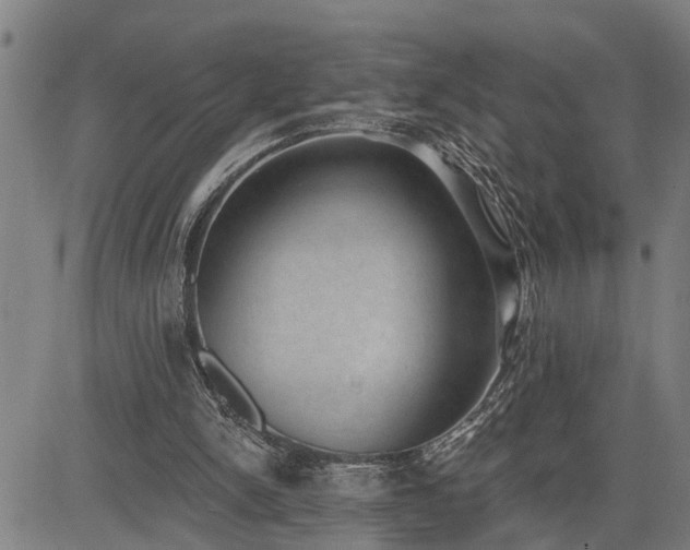 X0000085040150200703121442